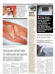 Síða 9