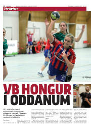 Síða 16