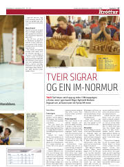 Síða 17