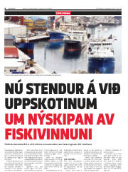 Síða 8