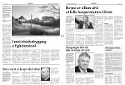 Síða 3