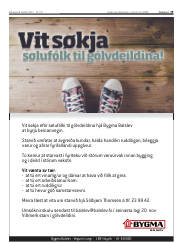 Síða 19