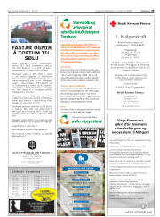 Síða 29