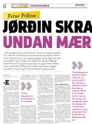 Síða 6