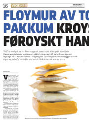 Síða 16