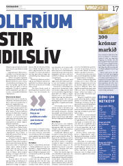 Síða 17