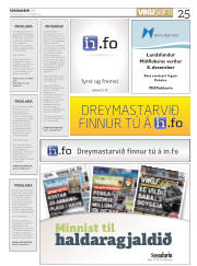 Síða 25