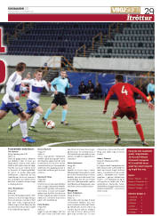 Síða 29