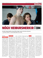Síða 13