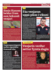 Síða 17