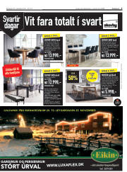 Síða 5