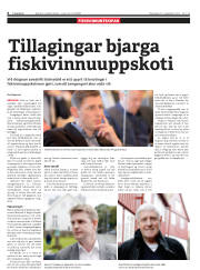 Síða 6