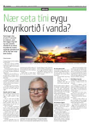 Síða 10