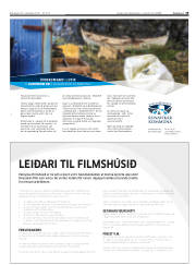 Síða 19