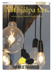 Síða 3