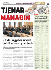 Síða 11