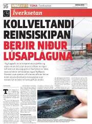 Síða 16