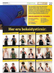 Síða 27