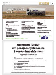 Síða 29