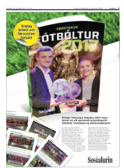 Síða 3