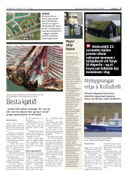 Síða 9