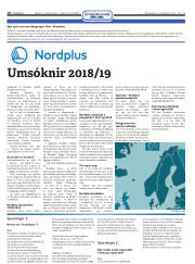Síða 10