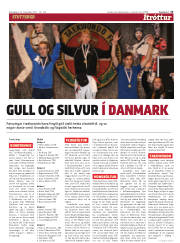 Síða 13