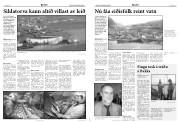Síða 4