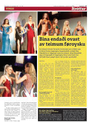 Síða 17