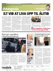 Síða 2