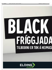 Síða 6