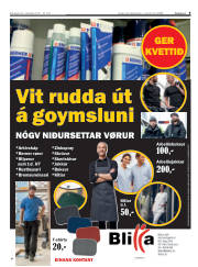 Síða 9