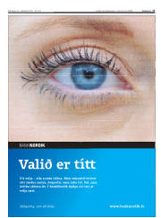 Síða 17