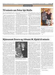 Síða 29