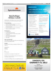 Síða 31