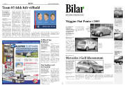 Síða 10