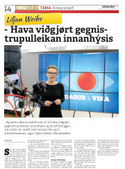 Síða 14