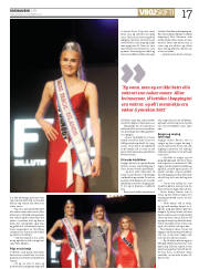 Síða 17