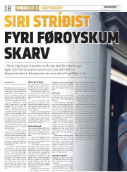Síða 18