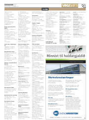 Síða 31