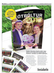 Síða 10