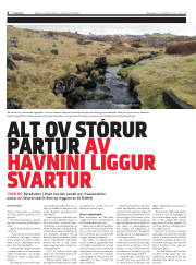 Síða 8