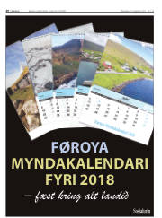 Síða 20