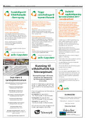 Síða 24