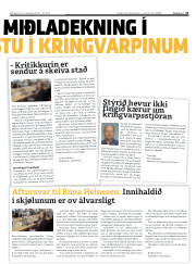 Síða 31
