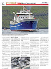 Síða 12