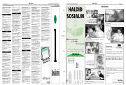 Síða 19