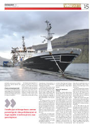 Síða 15