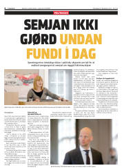 Síða 6