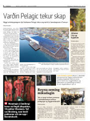 Síða 8
